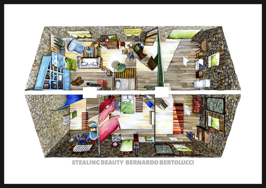 Framed STEALING BEAUTY